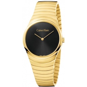 Watch Calvin Klein Whirl PVD bracelet K8A23541