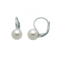 Miluna large leverback pearl earrings - PER2397