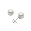 Miluna Stud Earrings Small Akoya Pearls - PPN556BMV
