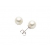 Miluna Akoya Pearls Stud Earrings - PAA885BM