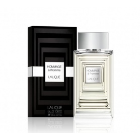 Perfume for men HOMMAGE à l'homme 100 ml - V 13201