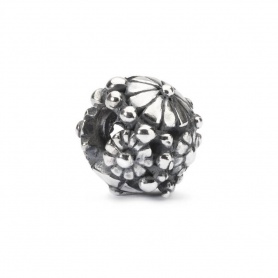 Trollbeads Silver Gifts of Nature -TAGBE30145