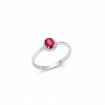 Miluna gold ring with Ruby and Diamonds - LID3273