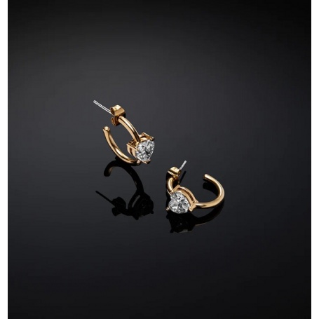 Chiara Ferragni First Love golden circle and heart earrings J19AWJ09