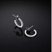 Chiara Ferragni Silver earrings with silver zircons circle J19AXD08