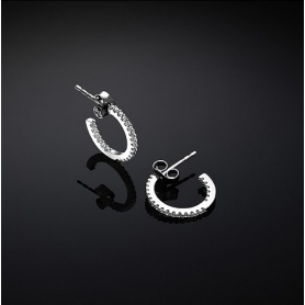 Chiara Ferragni Silver earrings with silver zircons circle J19AXD08