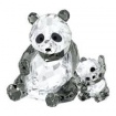 Mom and baby panda-50636690