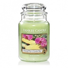 Kerze Yankee Candle Pine Apple großes Glas - 1174261E