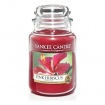 Candela Yankee Candle Pink Hibiscus giara grande - 1302664E