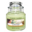Candle, Yankee Candle, A Child's Wish, small jar - 1254081E