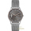 Skagen Holst Large watch SKW6396 gray