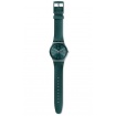 Watch Swatch Originals New Gent Ashbayang green - SUOG709